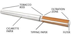 Main parts of a cigarette